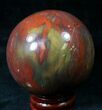 Colorful Petrified Wood Sphere #20617-2